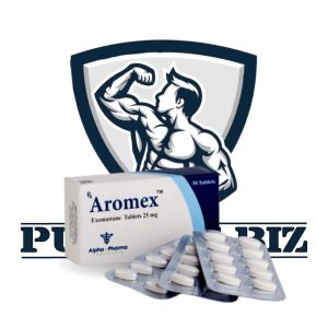 AROMEX-pumping.biz