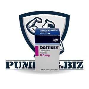 DOSTINEX-pumping.biz